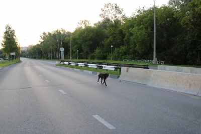 Пустынный Саров - 08.jpg